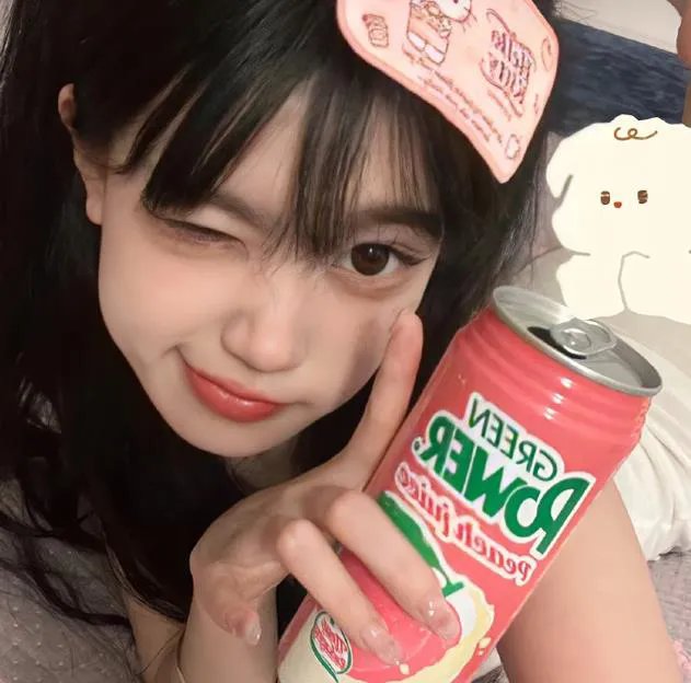 探险活宝第八季